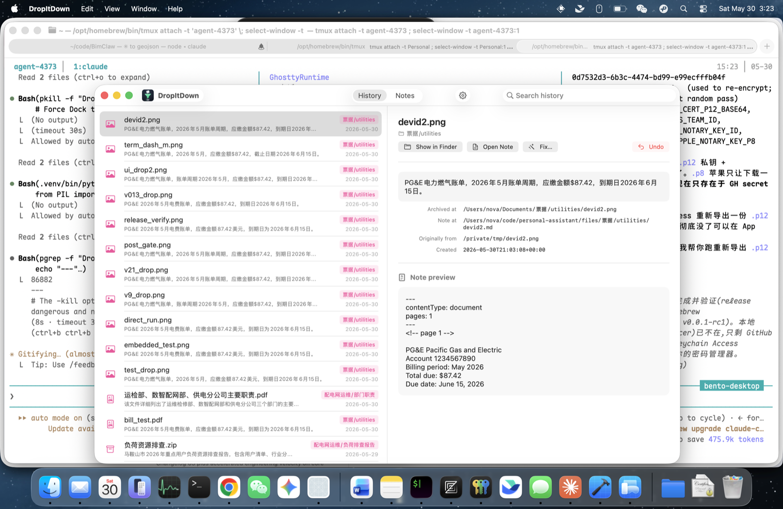 DropItDown main window with file history